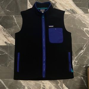 Patagonia Synchilla Vest